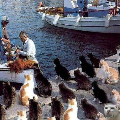 diverse - IMG_0176.JPG